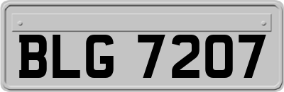 BLG7207