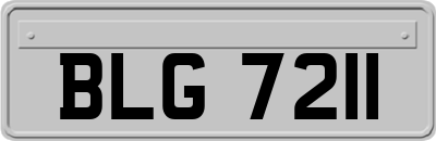 BLG7211
