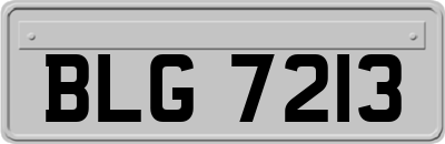 BLG7213