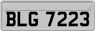 BLG7223
