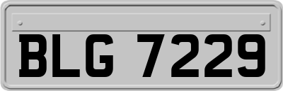 BLG7229