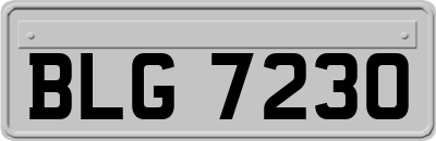 BLG7230
