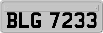 BLG7233
