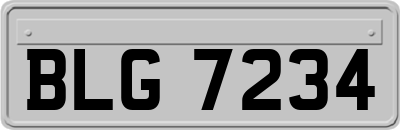 BLG7234