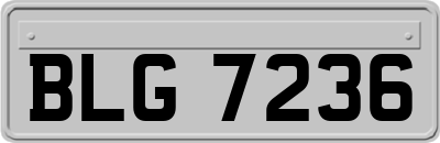 BLG7236