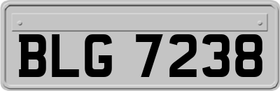 BLG7238