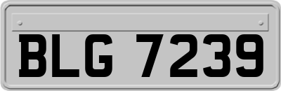 BLG7239