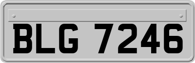 BLG7246