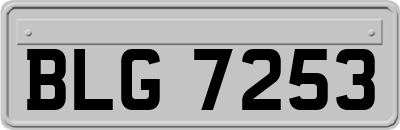 BLG7253