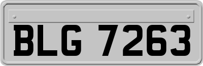 BLG7263