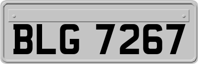 BLG7267