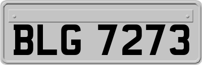 BLG7273