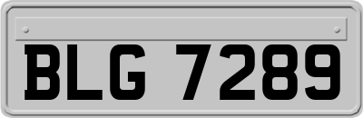 BLG7289