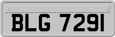 BLG7291