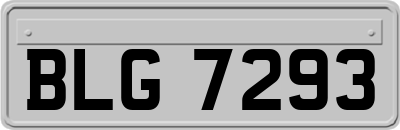 BLG7293