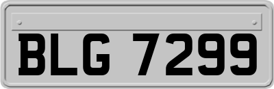 BLG7299