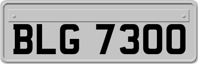 BLG7300
