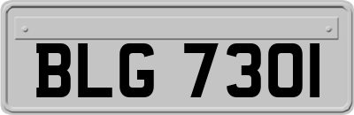 BLG7301