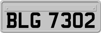 BLG7302
