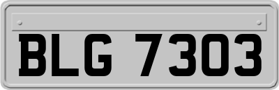 BLG7303
