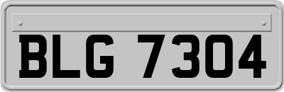 BLG7304