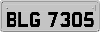 BLG7305