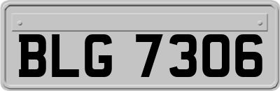 BLG7306