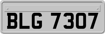 BLG7307