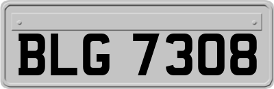 BLG7308