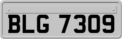 BLG7309