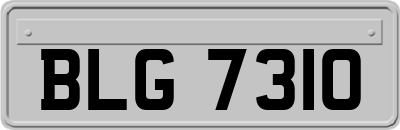 BLG7310