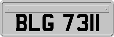 BLG7311
