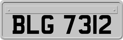 BLG7312