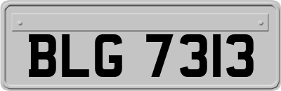 BLG7313