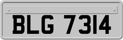 BLG7314