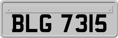 BLG7315