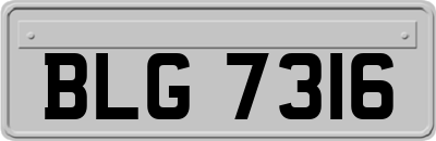 BLG7316