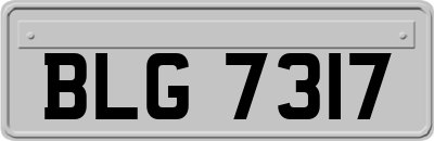 BLG7317