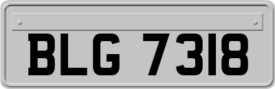 BLG7318