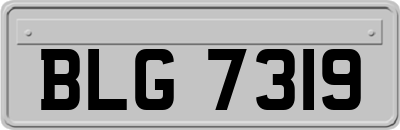 BLG7319
