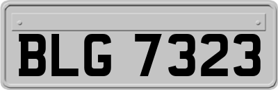 BLG7323