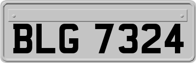 BLG7324