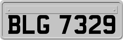 BLG7329