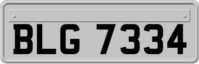 BLG7334