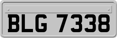 BLG7338