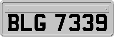BLG7339