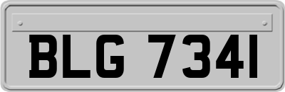 BLG7341
