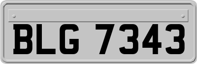 BLG7343