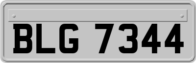 BLG7344