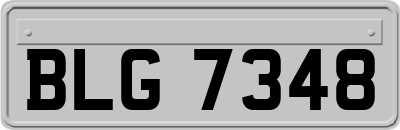 BLG7348